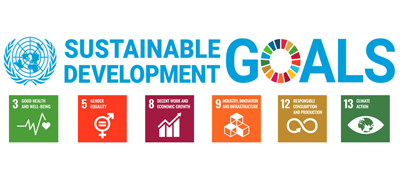 The 17 Goals of the United Nations to promote Global sustainable development